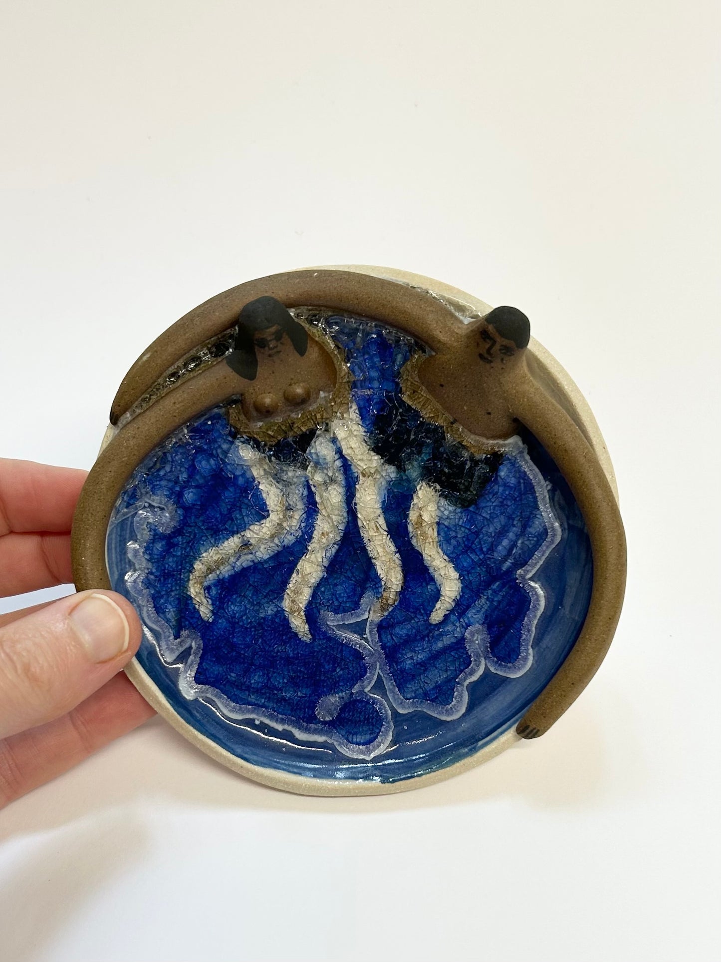 Swimming pool dish